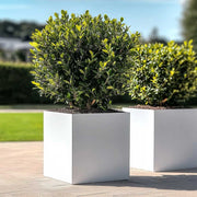 decorative white cube metal planter woven wood